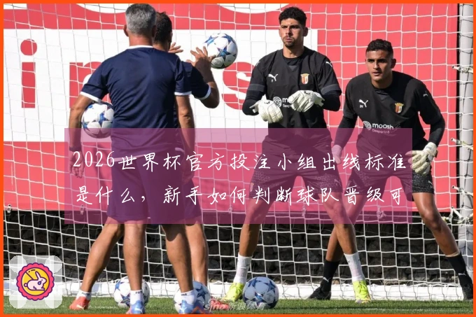 2026世界杯官方投注小组出线标准是什么,新手如何判断球队晋级可能性